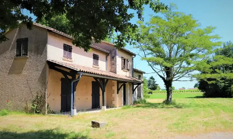 Vigne du chateau des capucins