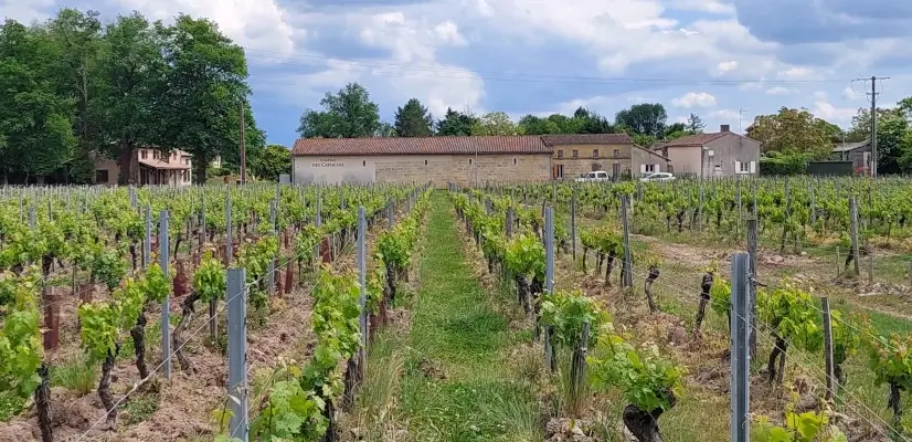 Les parcelles au champs de la lande en face du château au printemps