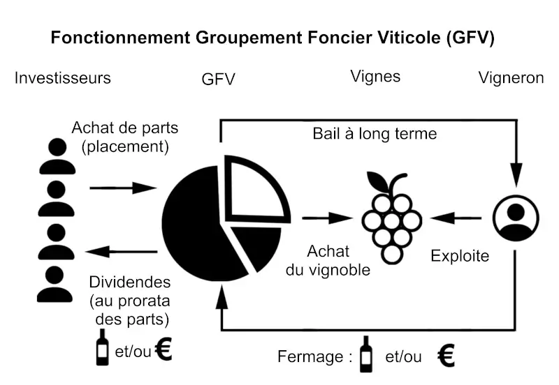 Schema de fonctionnement d'un GFV