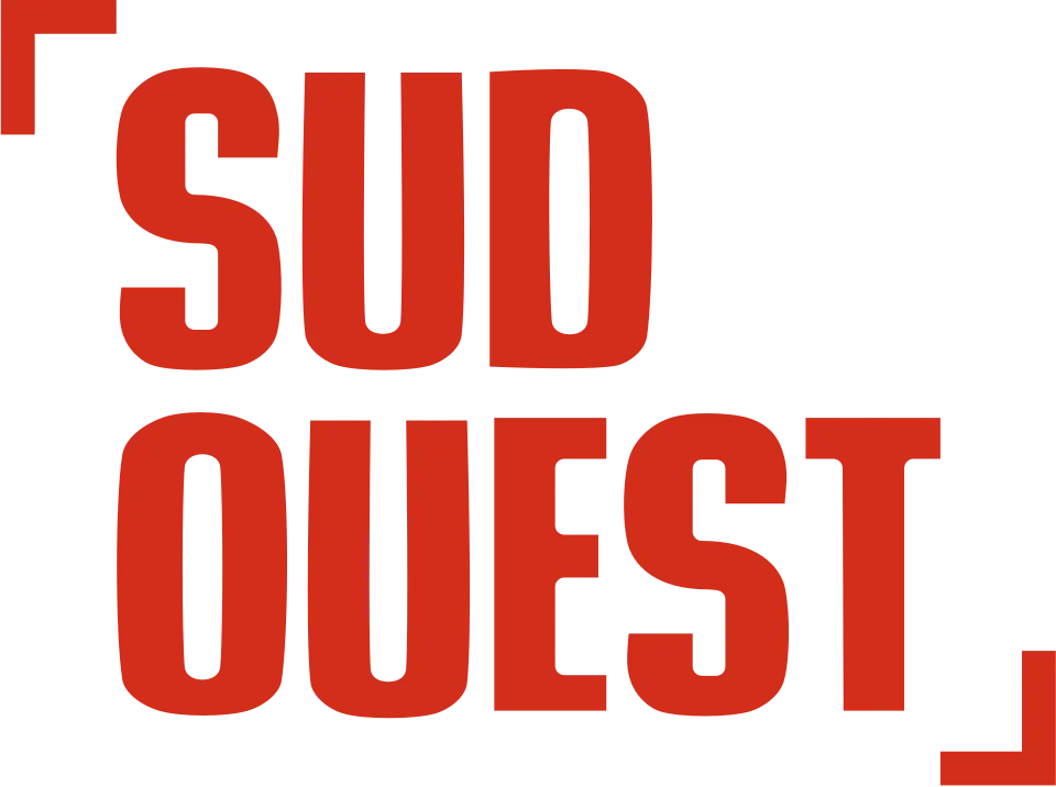 logo du journal les echos